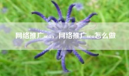 网络推广seo，网络推广seo怎么做