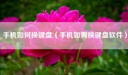 手机如何换键盘（手机如何换键盘软件）