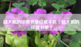 陆大鹏的印度书单印度手机「陆大鹏的印度书单」