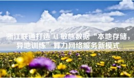 浙江联通打造 AI 敏感数据“本地存储，异地训练”算力网络服务新模式