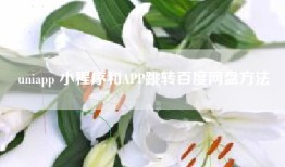 uniapp 小程序和APP跳转百度网盘方法