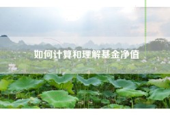 如何计算和理解基金净值