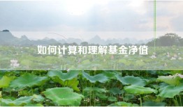 如何计算和理解基金净值