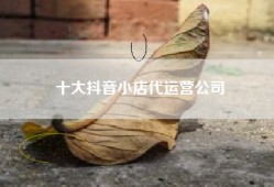 十大抖音小店代运营公司