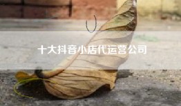 十大抖音小店代运营公司