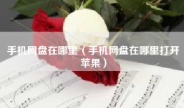 手机网盘在哪里（手机网盘在哪里打开苹果）