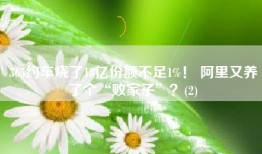 365约车烧了18亿份额不足1%！ 阿里又养了个“败家子”？(2)