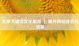 优质关键词优化服务 ｜ 提升网站排名与流量