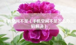 手机空间不足（手机空间不足怎么办三招解决）