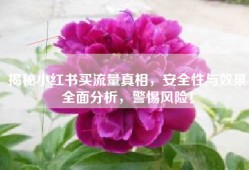 揭秘小红书买流量真相，安全性与效果全面分析，警惕风险！
