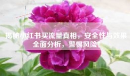 揭秘小红书买流量真相，安全性与效果全面分析，警惕风险！