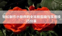 轻松制作小程序的全流程指南与实用技巧分享