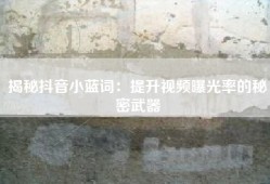 揭秘抖音小蓝词：提升视频曝光率的秘密武器