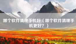 哪个软件清理手机好（哪个软件清理手机更好？）