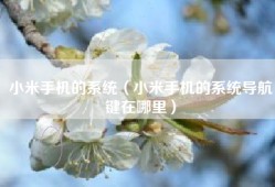 小米手机的系统（小米手机的系统导航键在哪里）