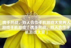 携手共战，双人合作手机游戏大赏两人游戏手机游戏「携手共战，双人合作手机游戏大赏」