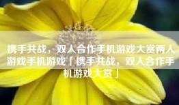 携手共战，双人合作手机游戏大赏两人游戏手机游戏「携手共战，双人合作手机游戏大赏」