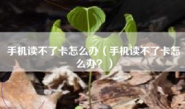 手机读不了卡怎么办（手机读不了卡怎么办？）