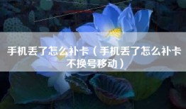 手机丢了怎么补卡（手机丢了怎么补卡不换号移动）