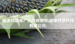 湘潭网站推广公司有哪些(湘潭网络科技有限公司)