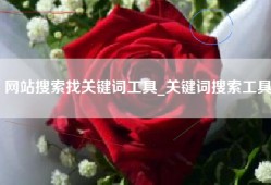 网站搜索找关键词工具_关键词搜索工具