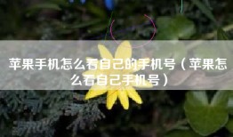 苹果手机怎么看自己的手机号（苹果怎么看自己手机号）