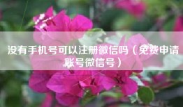 没有手机号可以注册微信吗（免费申请账号微信号）