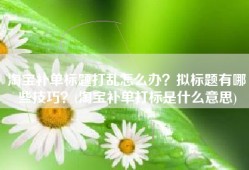 淘宝补单标题打乱怎么办？拟标题有哪些技巧？(淘宝补单打标是什么意思)