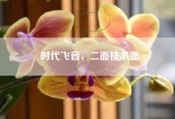 时代飞音，二面技术面