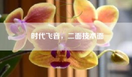 时代飞音，二面技术面