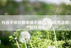 抖音手游权限申请不通过 2024技术攻略!(超好用)