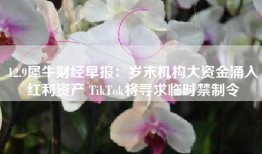 12.9犀牛财经早报：岁末机构大资金涌入红利资产 TikTok将寻求临时禁制令