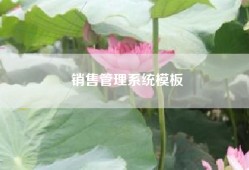 销售管理系统模板