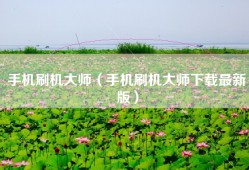 手机刷机大师（手机刷机大师下载最新版）