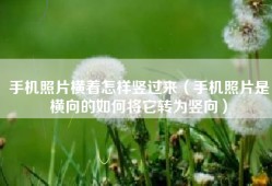 手机照片横着怎样竖过来（手机照片是横向的如何将它转为竖向）