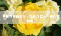 手机贷审核多久（手机贷怎么一直在审核中）