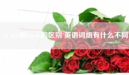 so that和too to的区别 英语词组有什么不同