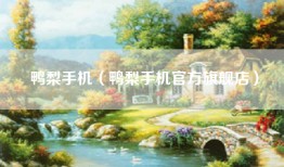 鸭梨手机（鸭梨手机官方旗舰店）