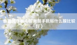 曲面屏手机（曲面屏手机贴什么膜比较好）