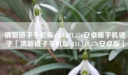 清新镜子手机版v111.111.576安卓版手机镜子「清新镜子手机版v111.111.576安卓版」