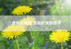 虚拟化快照 虚拟机快照技术
