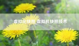 虚拟化快照 虚拟机快照技术