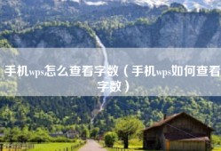 手机wps怎么查看字数（手机wps如何查看字数）