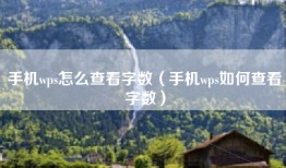 手机wps怎么查看字数（手机wps如何查看字数）