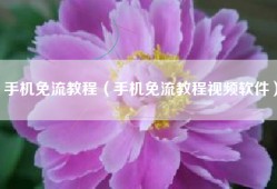 手机免流教程（手机免流教程视频软件）