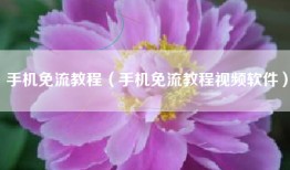手机免流教程（手机免流教程视频软件）