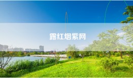 露红烟紫网