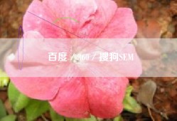 百度／360／搜狗SEM