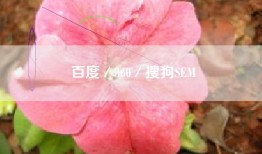 百度／360／搜狗SEM