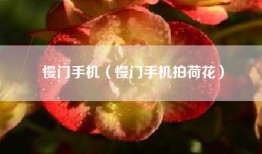 慢门手机（慢门手机拍荷花）